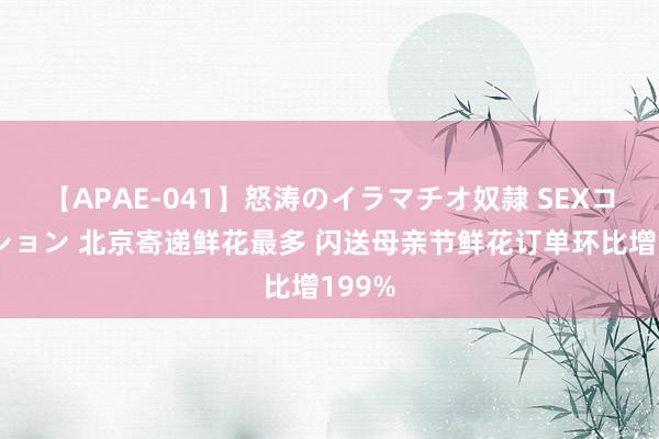 【APAE-041】怒涛のイラマチオ奴隷 SEXコレクション 北京寄递鲜花最多 闪送母亲节鲜花订单环比增199%