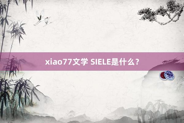 xiao77文学 SIELE是什么？